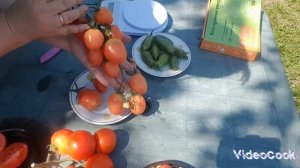 Дегустация томатов синие замшевые туфли,бронза,золотая конорейка