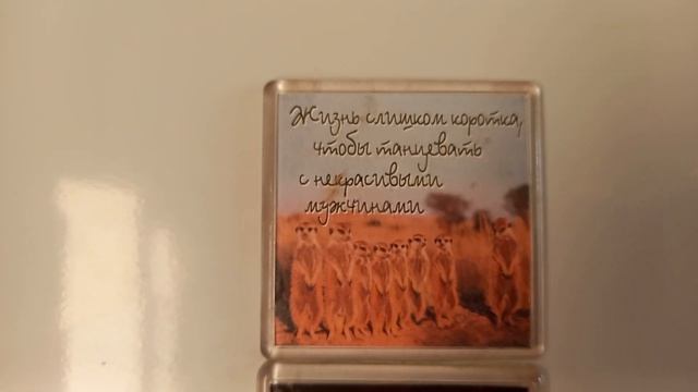 Кошкин дом ?? 16.1.23 смотреть онлайн