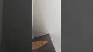 плетём браслет подруге