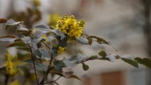 Замуж за рубеж | Серия 3 |   Франция