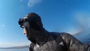 подводная охота на толстолобика,сазана и сома "один день"