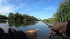 Тейл - спиннер COSMOS выручил по щуке! Окунь и щука на спиннинг