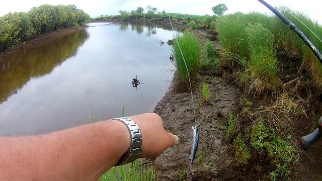 Флюрокарбон на кастинговой катушке. Щуки атакуют смотреть онлайн