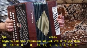 Солнце Монако