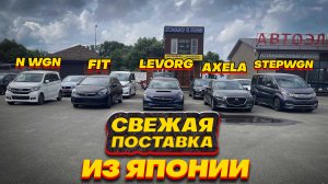 ТОП ПОКУПОК ИЗ ЯПОНИИ/HONDA FIT, STEPWGN,N WGN,MAZDA AXELA, SUBARU LEVORG STI SPORT!