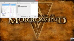 Let's Roleplay Morrowind [1] |Mods/HD|