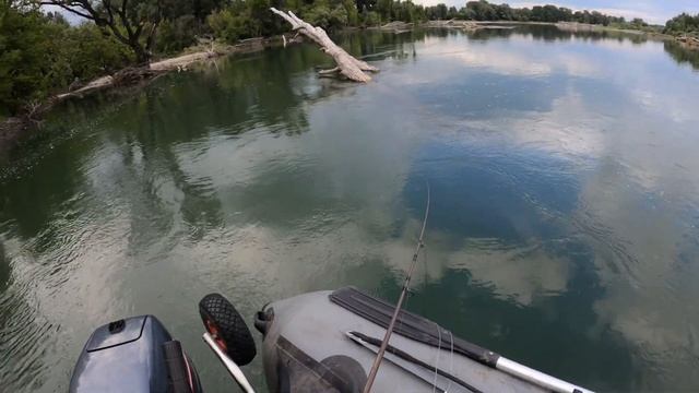 Рыбалка река Чарыш 10.08.21