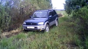 Природа Алтая