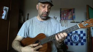 Parlando del mio nuovo Ukulele Baritone Baton Rouge V2 -B sun