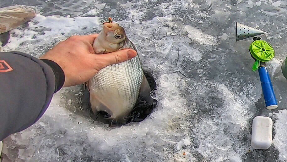 ЛЕЩ И ОГРОМНАЯ СОРОГА !! ОЧЕНЬ УДАЧНАЯ РЫБАЛКА НА КВХ | залив ОГУР смотреть онлайн