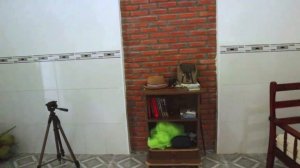 Дом в Муйне во вьетнамском стиле | Аренда жилья во Вьетнаме 2023