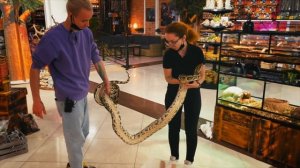 МУЖЧИНА ПОДКИНУЛ ОГРОМНОГО ПИТОНА И УБЕЖАЛ