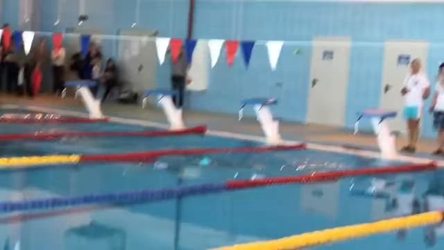 Девочки 2008 г.р. - 50 м брасс (14.02.2019 г., СОГ) смотреть онлайн