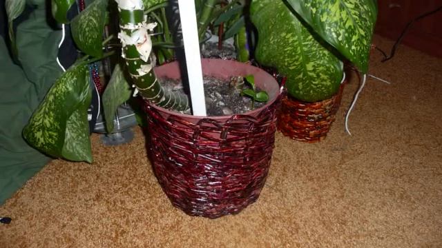 плетение из бумаги.wmv смотреть онлайн