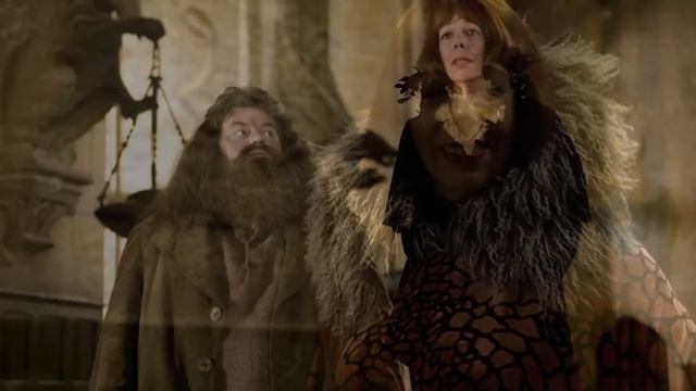 What Happened to These 100 Harry Potter Characters AFTER the Deathly Hallows? (Post-Series) смотреть онлайн