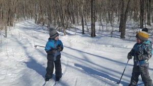 Учимся кататься на беговых лыжах. Learning to cross-country skiing.