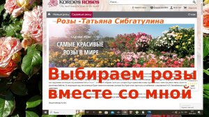 Как выбрать розы. Сайт интернет-магазина Кордес.