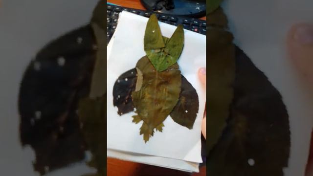 Идеи для аппликации. Часть 1 смотреть онлайн