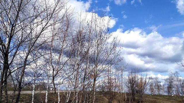 26 марта-НИКИФОРОВ ДЕНЬ.Как сохранить молодость.Не притянуть беду.Народные приметы.Поверья