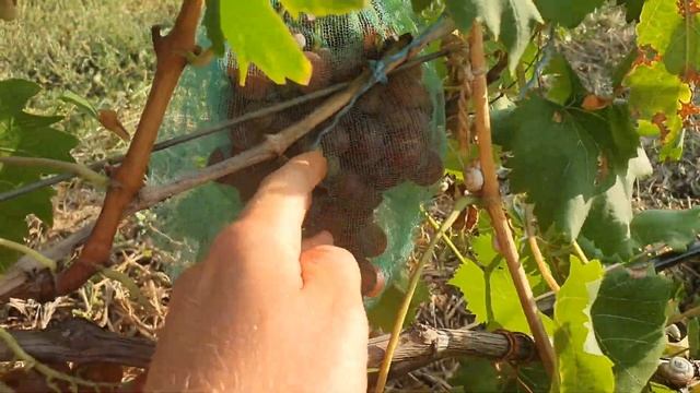 Валентинка 2021 смотреть онлайн