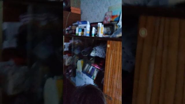 сню́с смотреть онлайн