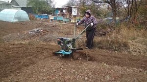 Мотоблок Аврора гусиные лапки в деле