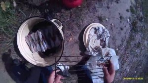 Окуни горячего копчения на газовой плитке