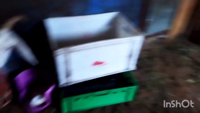 ДАЧНЫЕ ДЕЛА/УБИРАЕМ У КОЗОЧЕК/МАНИКЮРЧИК смотреть онлайн