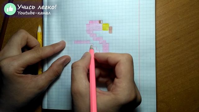 Рисунки по клеточкам. Как нарисовать фламинго по клеточкам. Рисуем по клеточкам животных