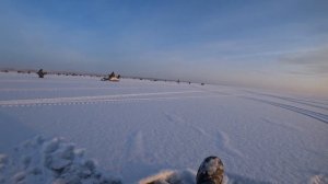 В поисках своего судака на Обском море. Морской совхоз - Насоска (31 километр).  Утешительный приз!