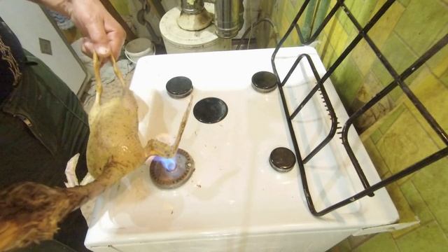 КАК ЗА 5 МИНУТ ОПАЛИТЬ УТКУ, ПТИЦУ НА БЫТОВОЙ ГАЗОВОЙ ПЛИТЕ. смотреть онлайн