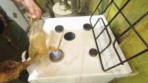 КАК ЗА 5 МИНУТ ОПАЛИТЬ УТКУ, ПТИЦУ НА БЫТОВОЙ ГАЗОВОЙ ПЛИТЕ.