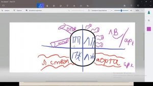 ❤ Кровообращение. Подготовка к ОГЭ и ЕГЭ. Строение сердца. Круги кровообращения.