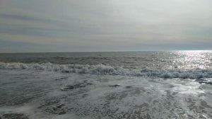 VID20230409160531.mp4