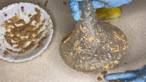 Как помыть хрусталь до блеска в домашних условиях. Быстрый способ! Чем мыть чтобы хрусталь блестел