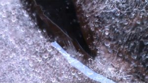 Замерзание воды при -30