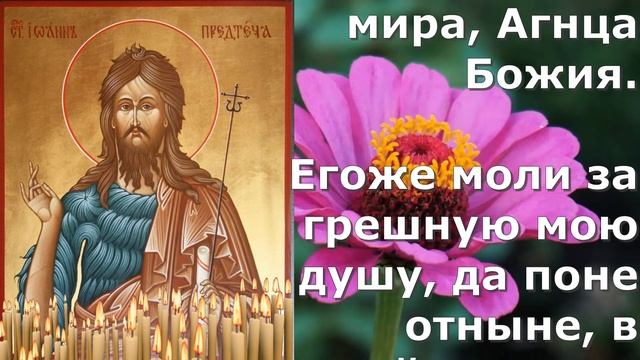 Молитва об избавлении от греховных помыслов Иоанну Крестителю