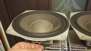 Динамики 50ГДН-3-30 (Электроника 25АС-033)