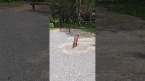 полоса препятствий в парке индустриальный Искитим