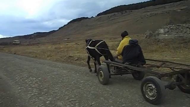 Что посмотреть в Грузии. Достопримечательности Грузии