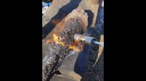 ноги на холодец   опаливаю и снимаю копыто часть 1 из 4-х