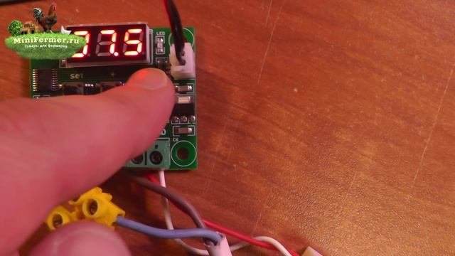 Терморегулятор для инкубаторов и не только! Тест и подключение.