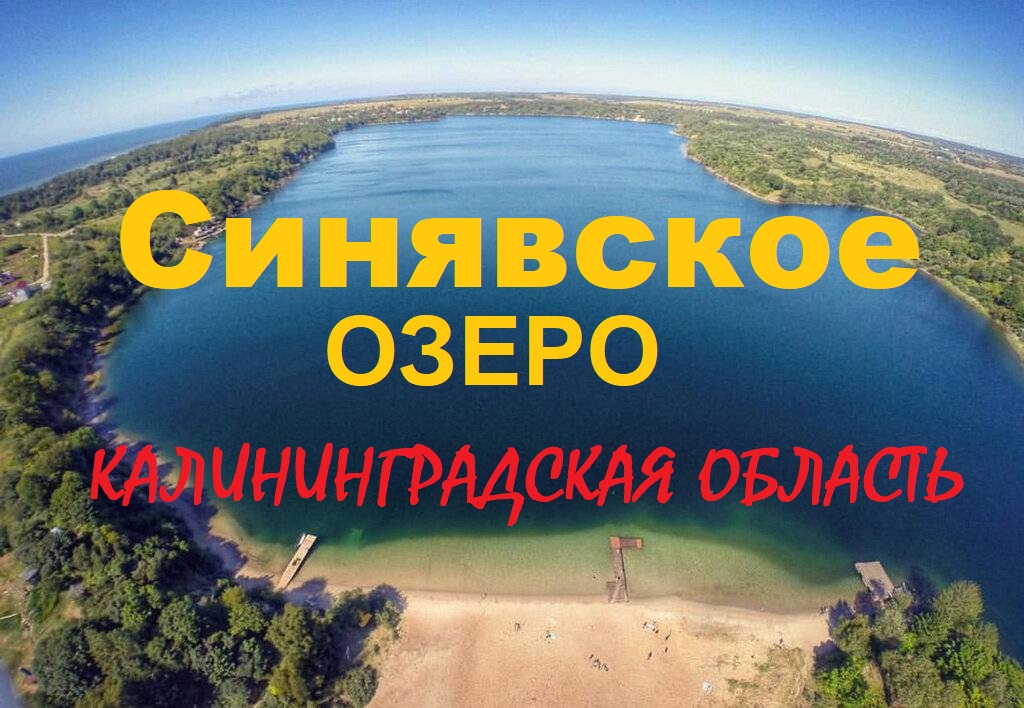 Синявинское озеро.2021август