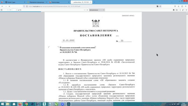 В Петербурге запретили мешать сексу белочек. Жуткие штрафы и конфискация имущества