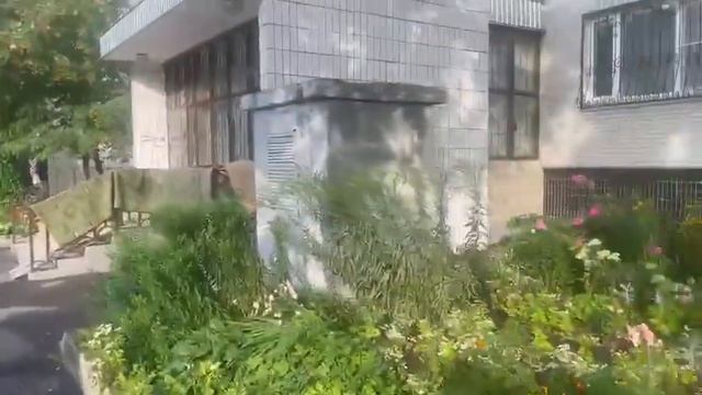 День Ковров в Московском районе Ново-Переделкино. смотреть онлайн