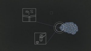 [TEDxEd] Как стресс действует на мозг