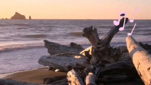 Душевная Песня ??Мне Свободу Ветер Обещал