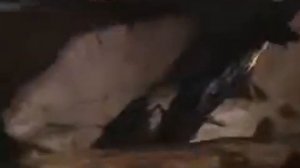 Искатели Клад Степана Разина