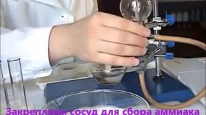 Получение аммиака и изучение его свойств