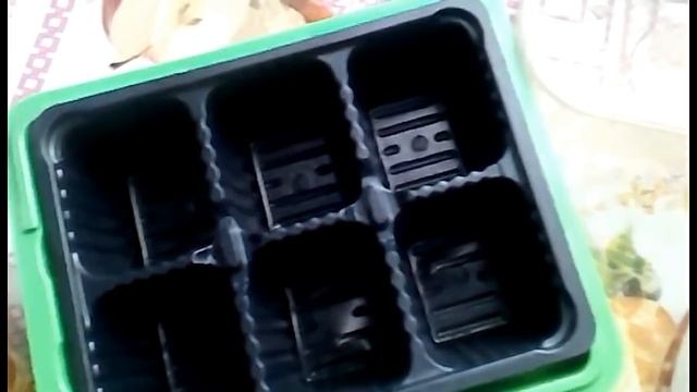 Цветочная рассада.  Начинаем сеять!! Общие правила выращивания ...